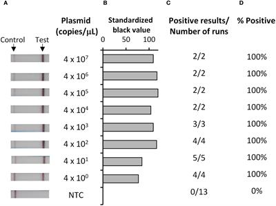 Rapid low-resource detection of Plasmodium falciparum in infected Anopheles mosquitoes